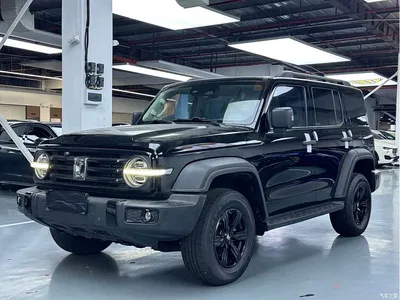 2024 Tank 300 Model 2.0T Challenger, фото 1, лот 11511815