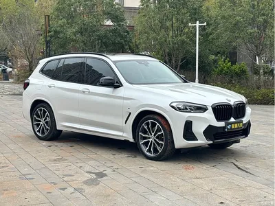 2022 BMW X3 Facelift xDrive30i Leading M Shadow Edition, фото 3, лот 10461754