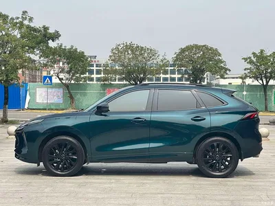 2021 Dongfeng Fengxing T5 EVO 1.5TD DCT Starlight Edition, фото 4, лот 11189855