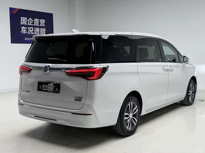 2023 Buick GL8, фото 4, лот 10244940
