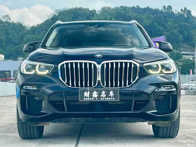 2019 BMW X5 (Import) xDrive40i M Sport Package, фото 2, лот 11249118