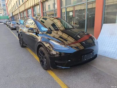 2021 Tesla Model Y Standard Range Rear-Wheel Drive, фото 4, лот 10600094