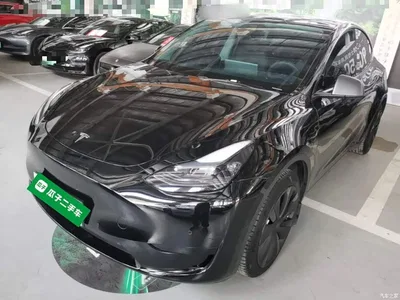 2022 Tesla Model Y Facelift Rear-Wheel Drive Version, фото 1, лот 10370749