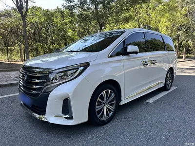 2020 GAC Trumpchi Trumpchi M8 Pilot 390T Flagship Edition, фото 1, лот 11221970