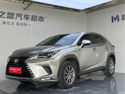2020 Lexus NX 200 AWD F Sport China VI, фото 1, лот 10314407