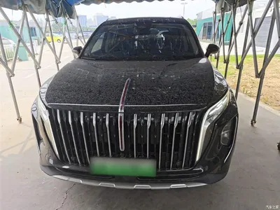 2024 Hongqi HS7 PHEV 2.0T PHEV AWD Qichang Edition 7-seater, фото 3, лот 10289739