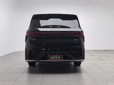 2026 Dongfeng Starlight V9 Beyond Joy Series 200km Luxury, фото 4, лот 11164792
