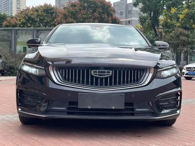 2021 Geely Xing Rui 2.0TD Premium, фото 2, лот 11139592