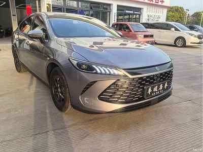 2025 BYD Qin PLUS DM-i Smart Drive 55KM Leader, фото 3, лот 10363811