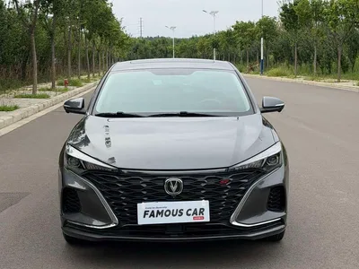 2021 Changan Eado PLUS Blue Whale NE 1.4T GDI DCT Premium, фото 2, лот 10249703