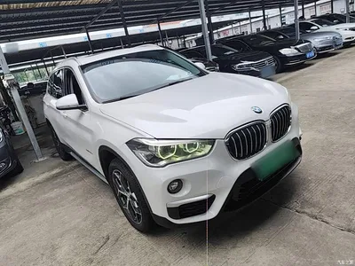 2018 BMW X1 sDrive18Li Premium Model, фото 4, лот 10467691