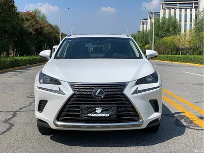 2017 Lexus NX 200 AWD Sharp Style Edition, фото 2, лот 11018422