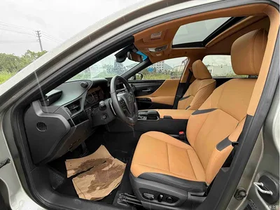 2021 Lexus ES 300h Luxury Edition, фото 4, лот 10314051