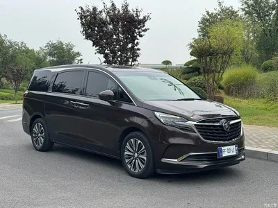 2020 Buick GL8 Model ES Landglory 653T Luxury, фото 3, лот 11459735