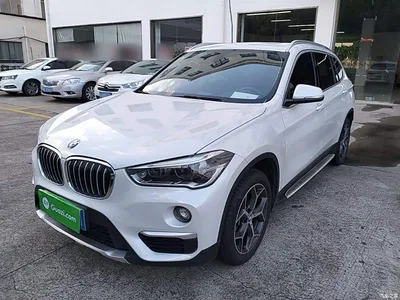 2019 BMW X1 sDrive18Li Premium Model, фото 1, лот 10467279