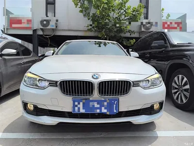 2019 BMW 3 Series 320Li Fashion Type, фото 3, лот 10458064