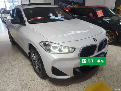 2021 BMW X2 sDrive25i Leading M Sport Package, фото 4, лот 11016703