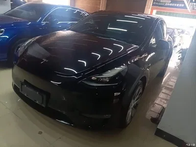 2021 Tesla Model Y Standard Range Rear-Wheel Drive, фото 1, лот 10369663