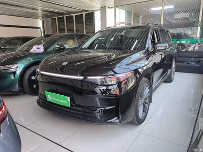 2024 Leapmotor C16 Extended Range 200 Premium Edition, фото 2, лот 10441660