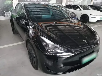2023 Tesla Model Y Rear-Wheel Drive Edition, фото 4, лот 11132458