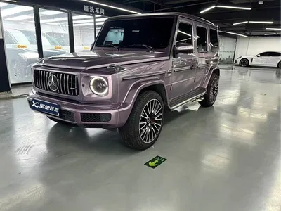 2019 Mercedes-Benz G-Class Facelift G 500, фото 1, лот 10296186