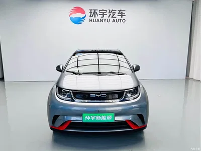 2021 BYD Dolphin Model 405km Fashion Edition, фото 2, лот 10257743