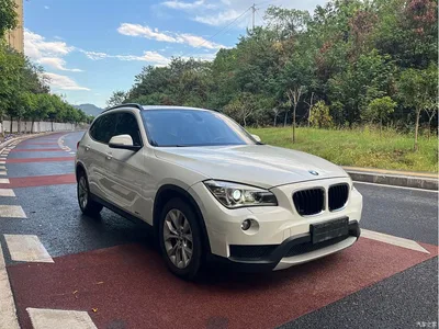 2012 BMW X1 (Import) sDrive18i Luxury, фото 3, лот 11006952