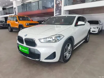 2020 BMW X2 sDrive25i Leading M Off-Road Package, фото 2, лот 10475652