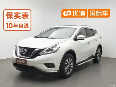 2019 Nissan Murano 2.5L XL 2WD Smart Connect Luxury Edition (China VI), фото 1, лот 10402220
