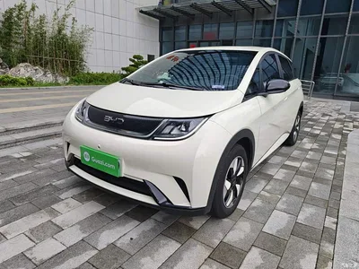 2025 BYD Dolphin 420km Freedom Edition, фото 2, лот 10259335