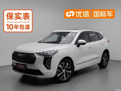 2021 Haval First Love 1.5T Automatic Premium Edition, фото 1, лот 11548493