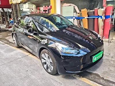 2022 Tesla Model Y Facelift Rear-Wheel Drive Version, фото 4, лот 10370241