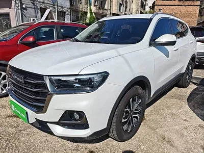 2021 Haval H6 National Trend Edition 1.5T Automatic Urban Edition, фото 2, лот 10285566