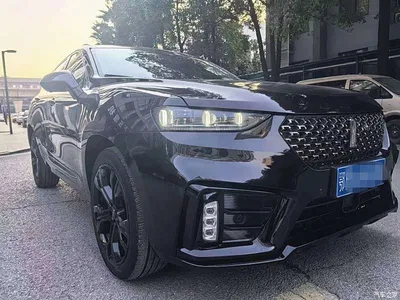2020 WEY VV7 2.0T Super Luxury, фото 2, лот 11183509