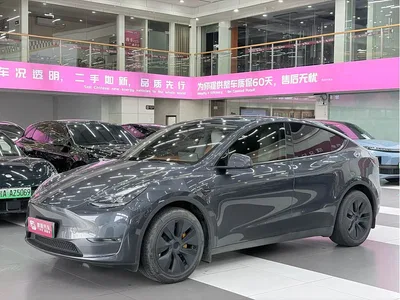 2024 Tesla Model Y Long Range AWD, фото 1, лот 10454907