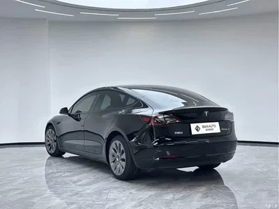 2022 Tesla Model 3 Model Rear-Wheel Drive Version, фото 3, лот 10620095