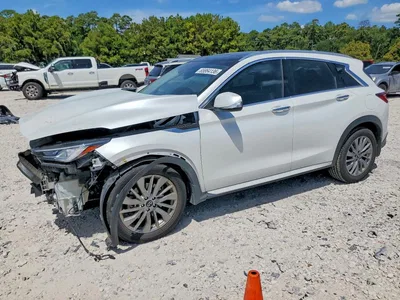2024 INFINITI QX50 LUXE, фото 1, лот 10883719