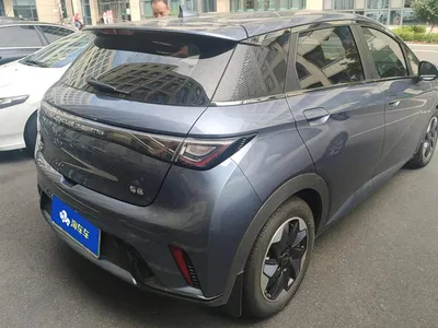2025 BYD Dolphin 420km Freedom Edition, фото 3, лот 10385433
