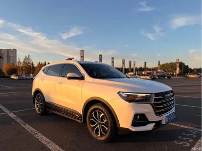 2021 Haval H6 National Trend Edition 1.5T Automatic Urban Edition, фото 3, лот 11569937