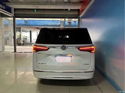 2020 Buick GL8 Model ES Landglory 653T Comfort, фото 4, лот 10255741