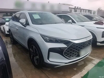 2024 BYD Tang New Energy DM-i Glory Edition 112KM Deluxe, фото 4, лот 11067152