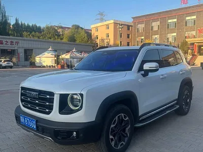 2021 Haval Big Dog 2.0T DCT 4WD Chinese Rural Dog Edition, фото 2, лот 11081566