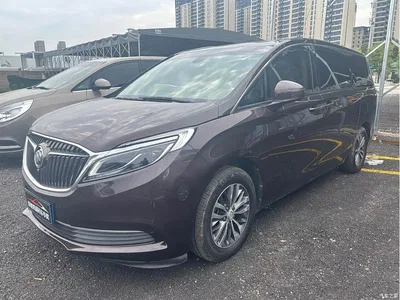 2017 Buick GL8 ES 28T Luxury China V, фото 1, лот 10688962