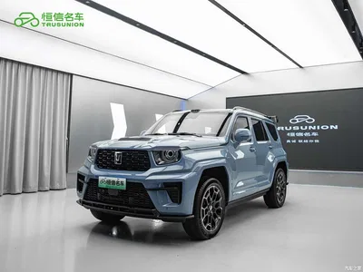2026 Tank 700 New Energy Hi4-Z Base Model, фото 1, лот 10344861