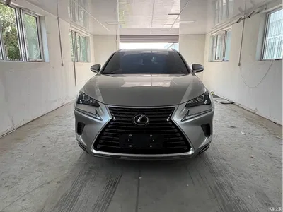 2020 Lexus NX 200 AWD F Sport China VI, фото 2, лот 10317188