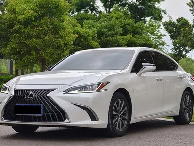 2022 Lexus ES 200 Excellence Edition, фото 1, лот 10312695