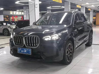 2024 BMW X1 sDrive25Li M Sport Package, фото 1, лот 10422547