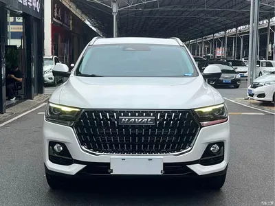 2023 Haval H6 National Trend Edition 1.5T Automatic Champion, фото 1, лот 11215301