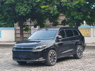 2024 AITO Wenjie AITO M7 1.5T Smart AWD Max Edition 5-Seater, фото 1, лот 10277561