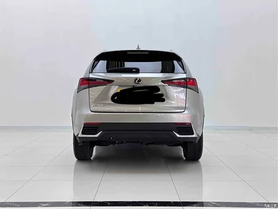2020 Lexus NX 200 AWD F Sport China VI, фото 3, лот 10317256